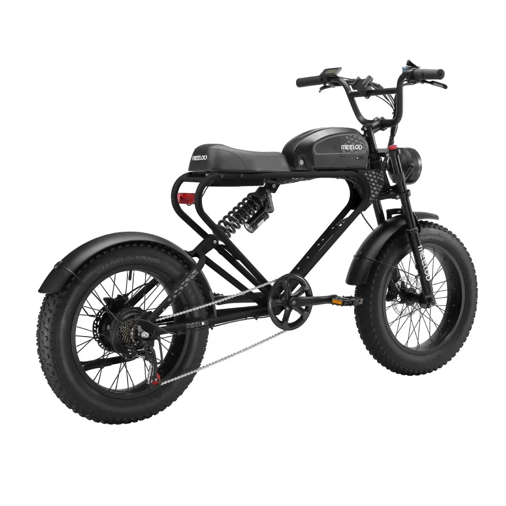 MEELOD DK300PLUS adult E-bike 1200W 48V 12.5Ah battery commute Electric Bike,20-inch Fat Tire E-Mountain bike