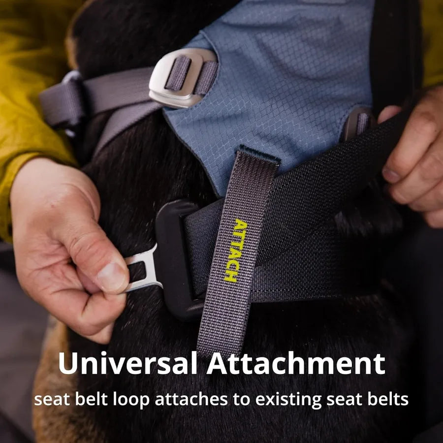 Load Up Dog Car Harness Padded Adjustable Travel Restraint with Universal Seat Belt Attachment and Strength-Rated Metal Hardwar