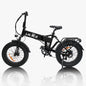 Lacros Pinecone adult E-bike，500W city ebike，48V12.8AH ebike，20 Fat Tire E-Mountain bike