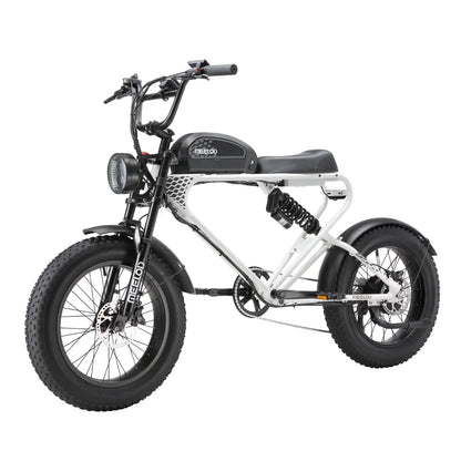 MEELOD DK300PLUS adult E-bike 1200W 48V 12.5Ah battery commute Electric Bike,20-inch Fat Tire E-Mountain bike