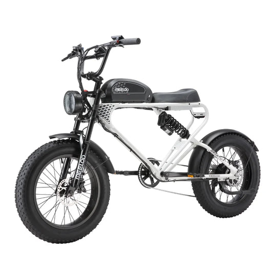 MEELOD DK300PLUS adult E-bike 1200W 48V 12.5Ah battery commute Electric Bike,20-inch Fat Tire E-Mountain bike