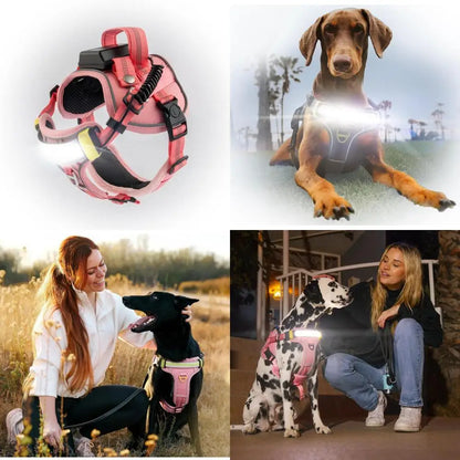 High-Visibility LED Dog Harness for Enhanced Night Safety - 1000 Lumen Light-Up Vest with Patent Pending Design