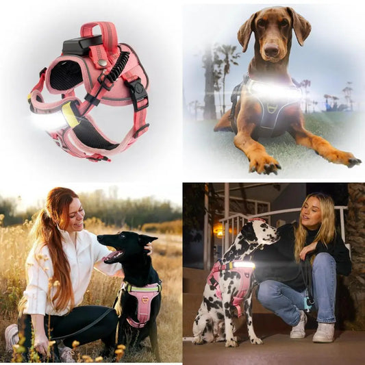 High-Visibility LED Dog Harness for Enhanced Night Safety - 1000 Lumen Light-Up Vest with Patent Pending Design