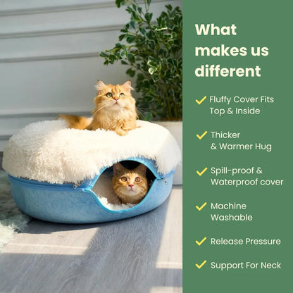 CATTASAURUS Peekaboo Cat Cave for Multiple & Large Cats Up to 30-45 Lbs, Fluffy Cat Beds for Indoor Cats, Scratch Detachable & W