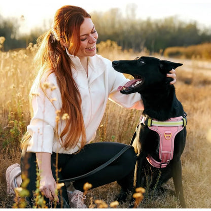 High-Visibility LED Dog Harness for Enhanced Night Safety - 1000 Lumen Light-Up Vest with Patent Pending Design