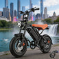 Fat Tire Electric Bike, 749W Peak Motor, 20-27.5MPH Max Speed, 48V 15.6-23.4AH Battery, for Urban Commuting & Outdoor Adventures