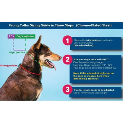Prong Collar or Dog Training with Easy Quick Release Buckle - German Made Dog Collar with Chrome Plated Steel 4.0mm Prongs for E