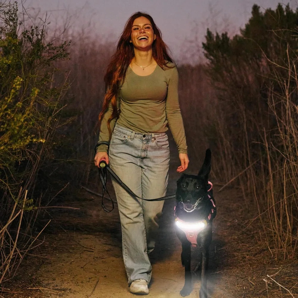 High-Visibility LED Dog Harness for Enhanced Night Safety - 1000 Lumen Light-Up Vest with Patent Pending Design