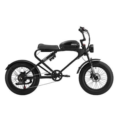 MEELOD DK300PLUS adult E-bike 1200W 48V 12.5Ah battery commute Electric Bike,20-inch Fat Tire E-Mountain bike
