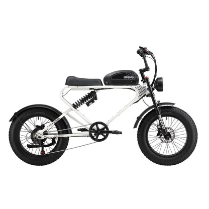 MEELOD DK300PLUS adult E-bike 1200W 48V 12.5Ah battery commute Electric Bike,20-inch Fat Tire E-Mountain bike