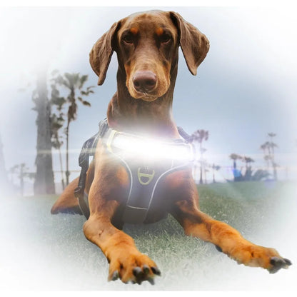 High-Visibility LED Dog Harness for Enhanced Night Safety - 1000 Lumen Light-Up Vest with Patent Pending Design