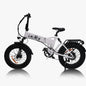 Lacros Pinecone adult E-bike，500W city ebike，48V12.8AH ebike，20 Fat Tire E-Mountain bike