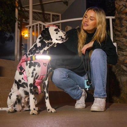 High-Visibility LED Dog Harness for Enhanced Night Safety - 1000 Lumen Light-Up Vest with Patent Pending Design
